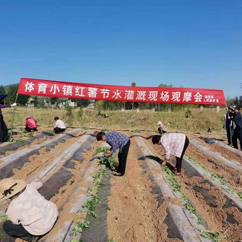 【驻陶营镇乡村振兴工作一队】 三变改革是方向   大虎岭下种大方