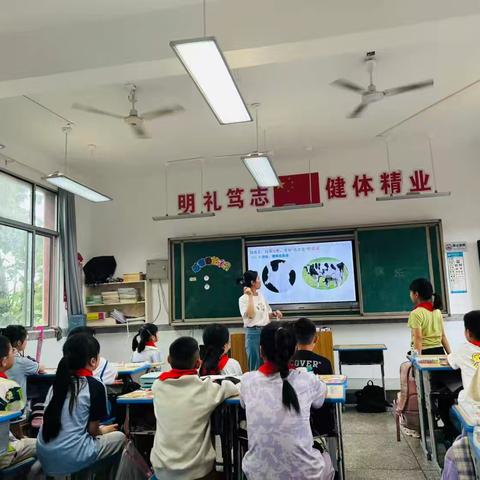 课堂里的多彩学习时光