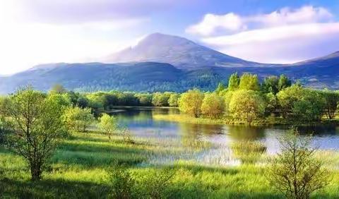 大一班主题活动《大自然的密语》