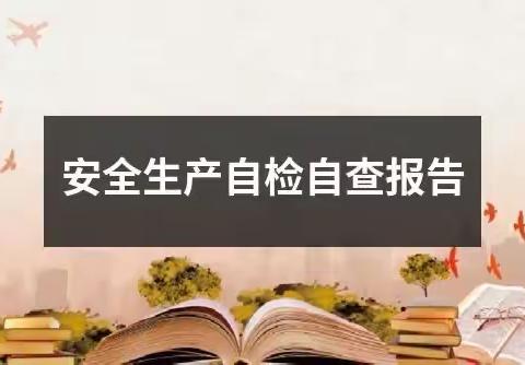 洪山镇养老服务中心安全生产隐患自查