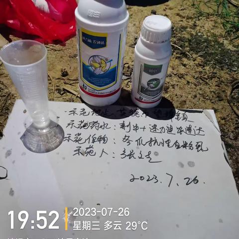 清远英德市望埠镇抗性白粉虱示范方案2