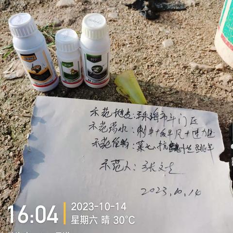 珠海斗门区防治高抗跳甲示范