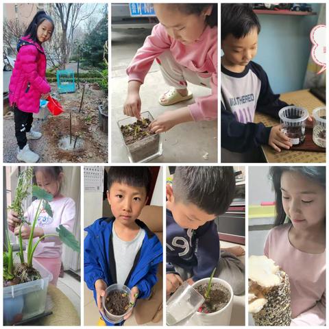 播种春天，种下希望