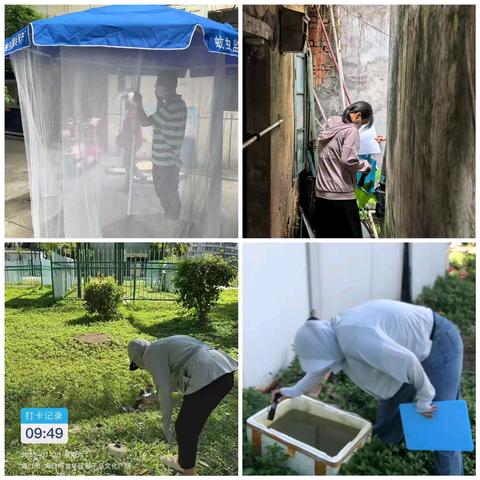 龙华区持续开展夏秋季蚊媒传染病防控攻坚行动
