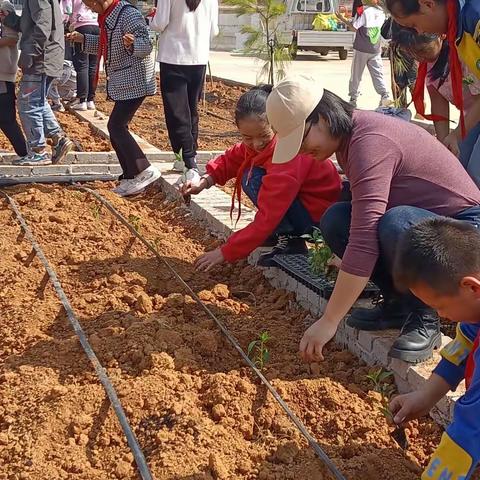 我劳动，我快乐——新哨小学劳动教育基地实践活动