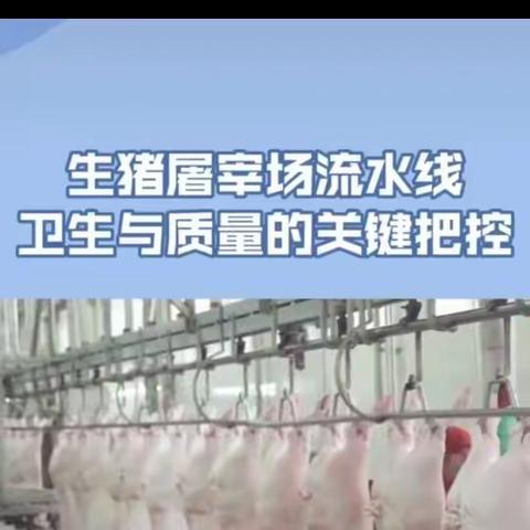 屠宰场猪肉分割加工基本流程