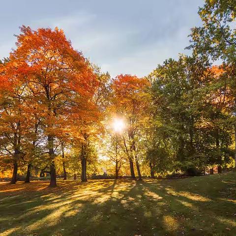 绿水青山，低碳生活