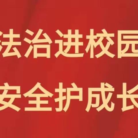 方里镇博志学校法治报告会——法治进校园，安全护成长