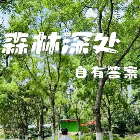 勇敢小战士·森林挑战营 ——让孩子在自然中蜕变成长