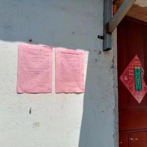 【文明实践】开展“严禁采摘食用野生蘑菇”食品安全宣传活动