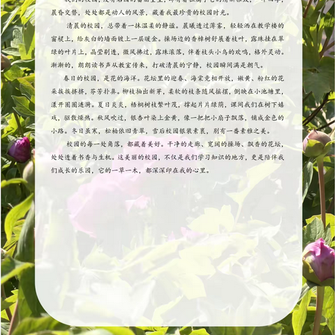 【生态十小·学科育人】笔绘春色·情满校园——雁塔区第十小学春日校园征文活动报道（五） ‍ ‍