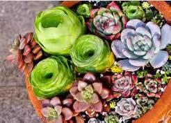 计算机班康成文简篇练习