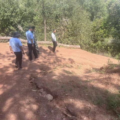 正确宣传引导胡蜂养殖防控，保护生物多样性