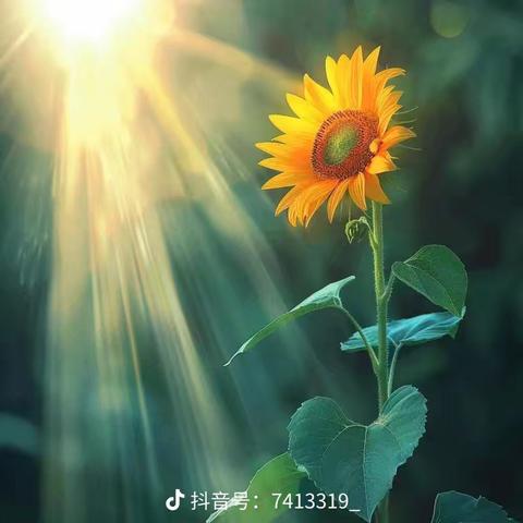 春节盛宴，别让“胃肠受伤””