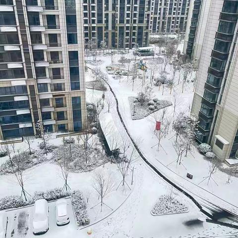 瑞雪兆丰年，雪中见真情