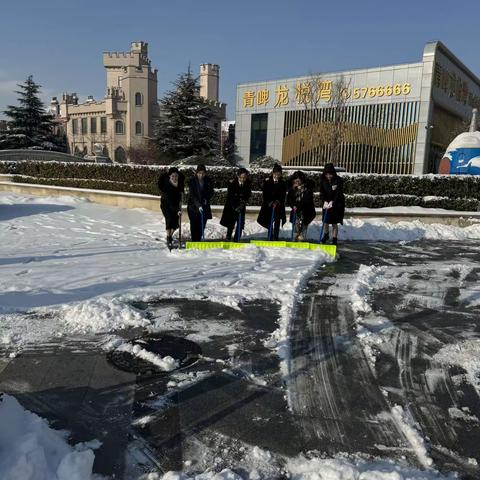 风雪无情，物业有爱 ——银禧物业青啤龙悦湾项目扫雪记