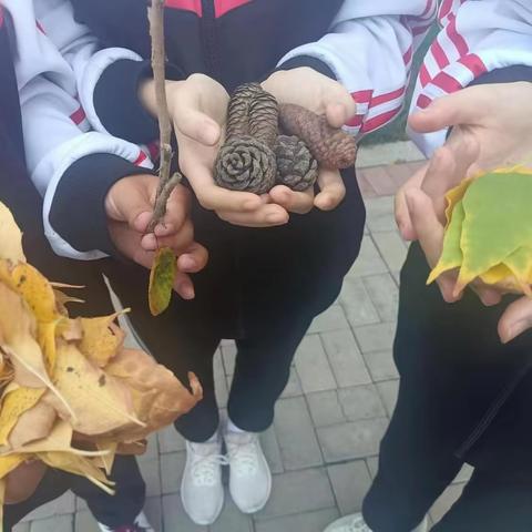 劳动教育课舞动秋天 树叶画——保育17班