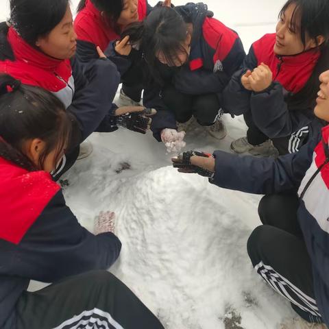 劳动教育课 “初雪映美景，欢乐暖严冬”堆雪人活动——保育17班