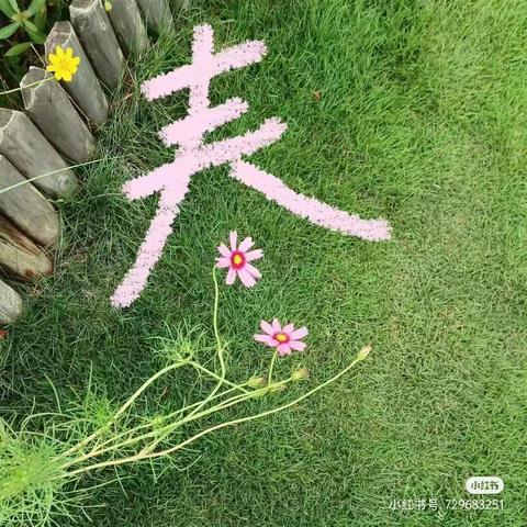 一年之计在“识春”——小黄中心幼儿园“我与春天的浪漫邂逅”系列主题活动