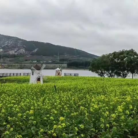 凝青春力量 绘山河华章-区城乡交通运输局组织开展五四青年活动