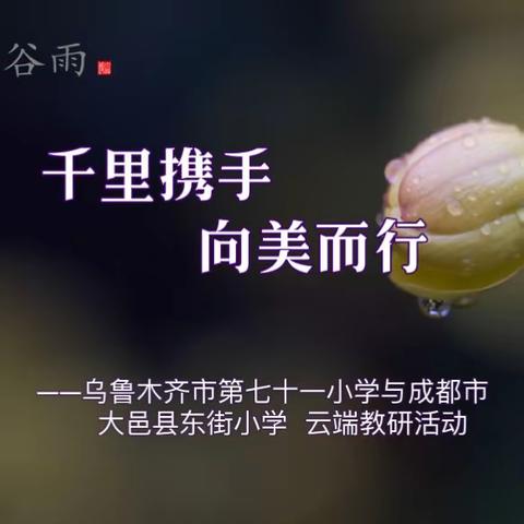 千里携手 向美而行