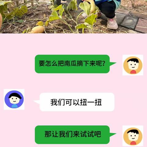 【灞桥学前教育】“哇！一个大南瓜”大班组课程故事