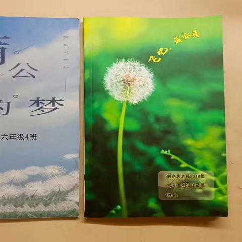 春日烂漫正赏书