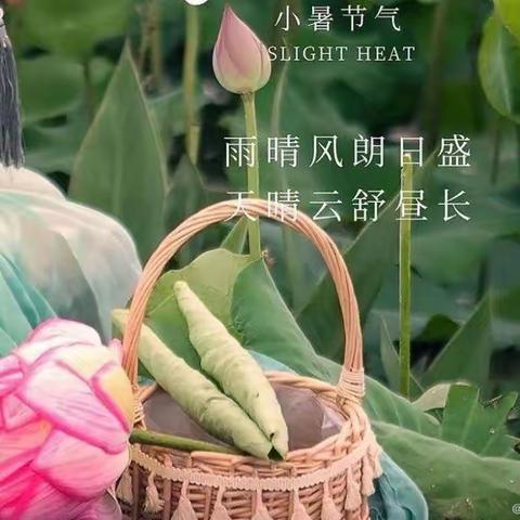 “小暑至，盛夏始”——二十四节气之小暑【许昌市东城区童心幼儿园大六班】