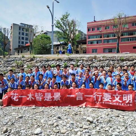 一花一木皆是景 . 一言一行要文明 -------     凤凰小学2019级3班社会实践活动
