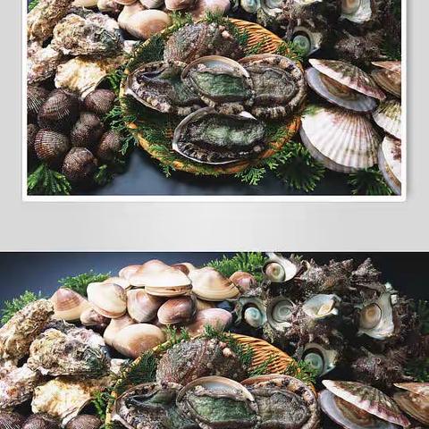 小贝壳大世界|小二班品尝贝壳海鲜记