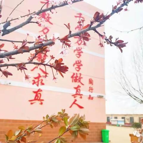 【塔头小学教师风采一】师者如光，微以致远