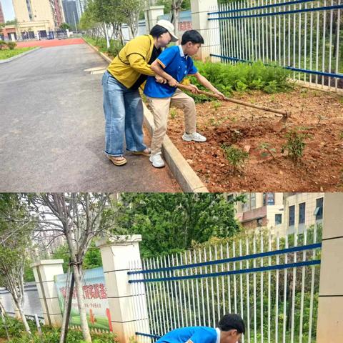 从指尖到心田，以劳动育成长——乐平市第十九小学劳动教育实践活动纪实