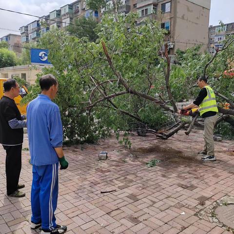 【工人村街道新华社区】“有事好商量”——雨过天晴 保障居民安全社区在行动