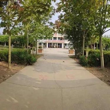 三泉中心校孝陵学校2025年一年级新生招生公告