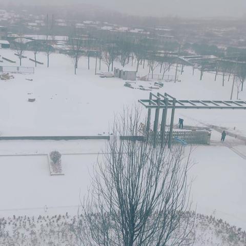 清扫积雪净校园，齐心协力促安全——费县第二实验小学扫雪除冰在行动