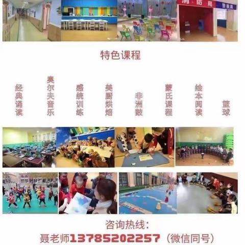 🌾未来之星 营养美食🌾