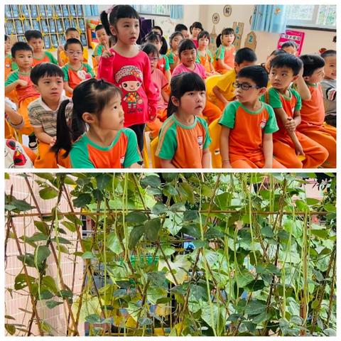 快乐“食”光，有你相伴💕———城北幼儿园中二班生活体验活动