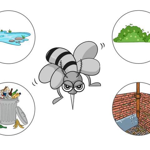 这些夏季小儿常见问题频发，宝宝一不小心就中招!