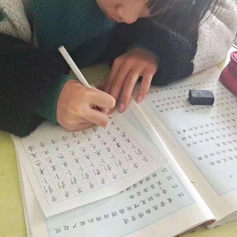 写字增强自信！写字滋养灵魂！--东平乐小学“点线格”教学