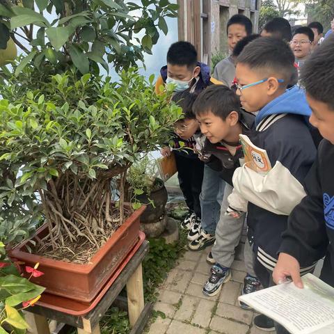 走进鸟的天堂，感受美的课堂——东平乐小学实践课