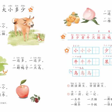 黄牛小猫比“大小”，杏子蜜桃知“多少”——记池璟雨老师研讨课《大小多少》
