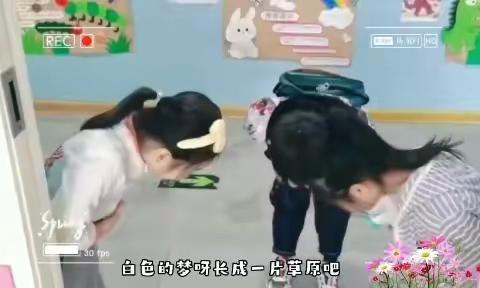 春天里幼儿园大一班