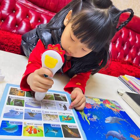 介休六幼中二班武书砚                   ——经历美好