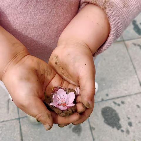 让孩子回归自然———阜颍路幼儿园