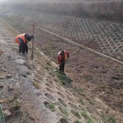 北关区彰北街道宋家庙村人居环境整治