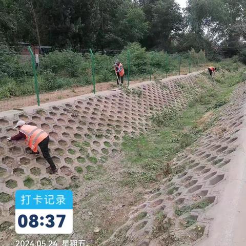 北关区彰北宋家庙村人居环境治理