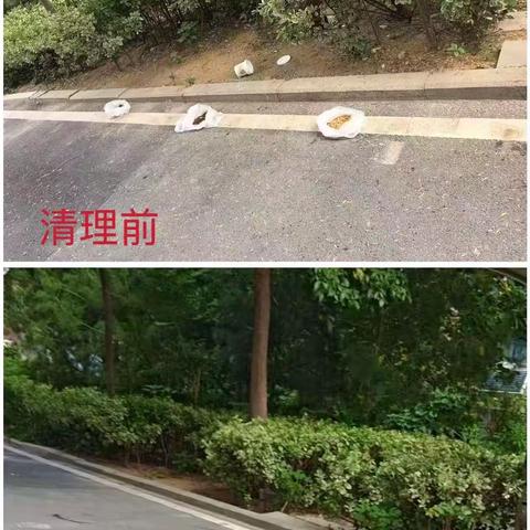 【智远街道林景苑社区】倡导文明喂养 共筑和谐家园