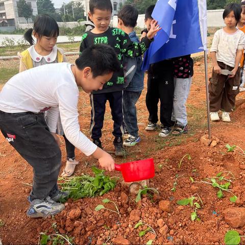 走进劳动基地 体验劳动快乐 ——高和中心完小137班劳动基地实践活动