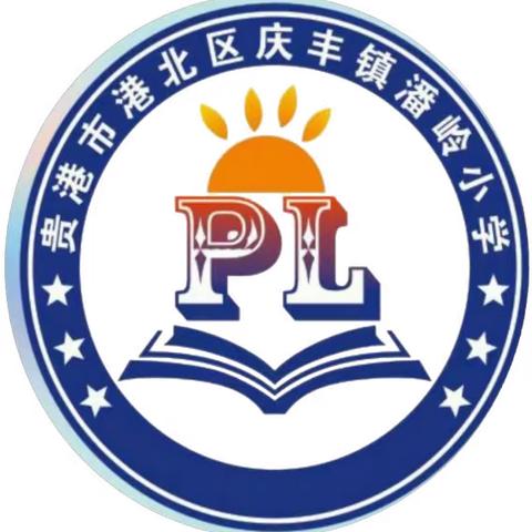 “青春筑梦新时代  资助伴我向未来”——庆丰镇潘岭小学资助政策宣传活动