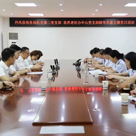 丹凤县税务局机关第二党支部 县养老经办中心党支部开展“联学共建”主题党日活动